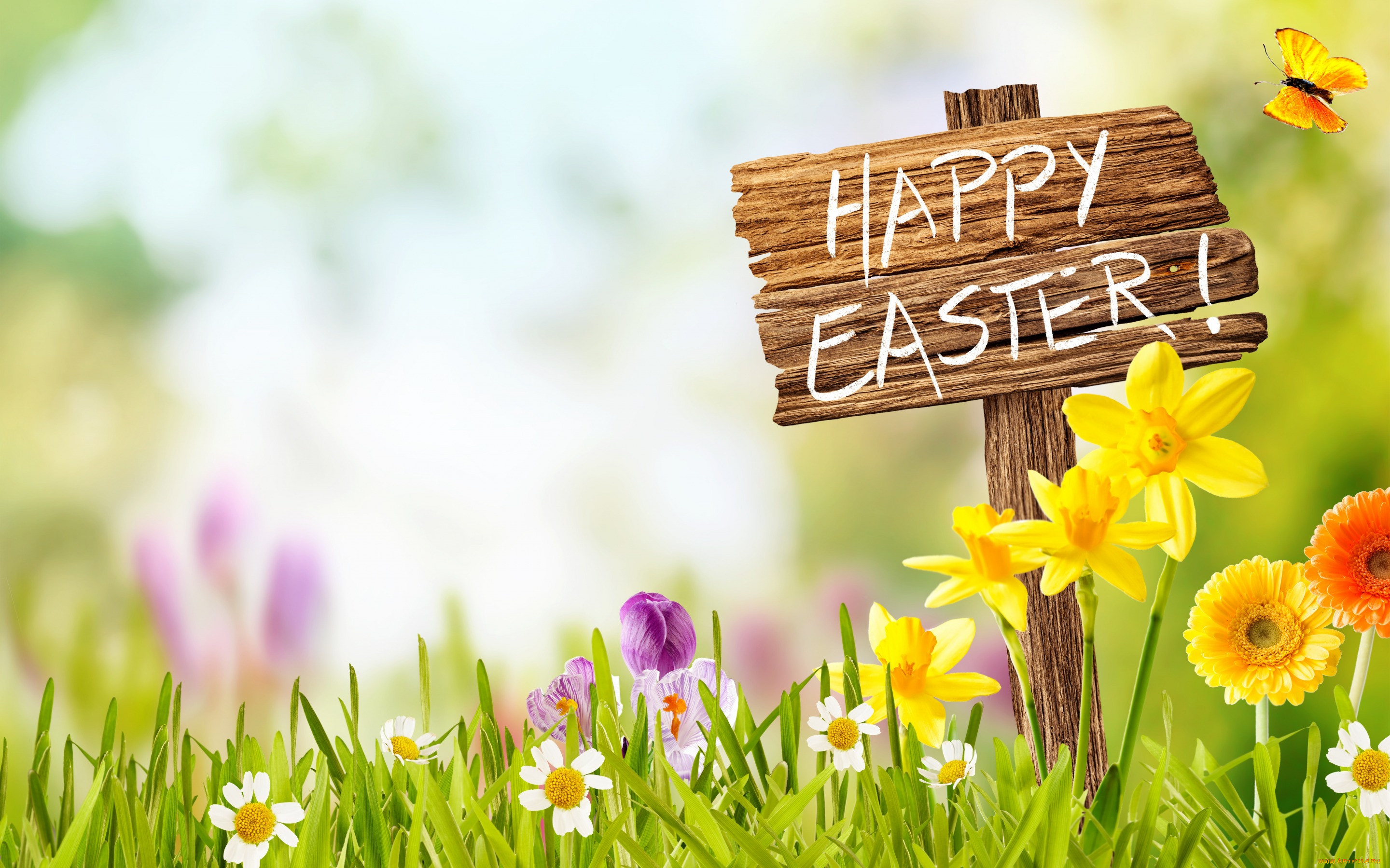 , , spring, , , easter, eggs, flowers, decoration, happy, , , , , 